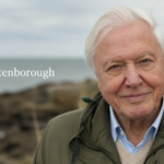 Robert Attenborough