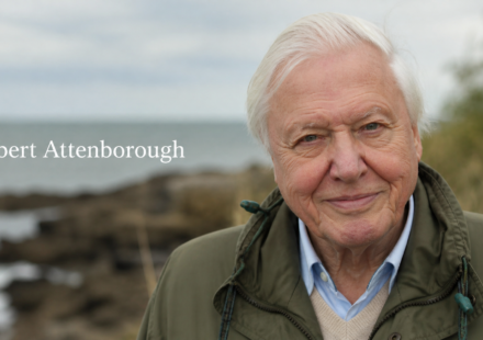 Robert Attenborough